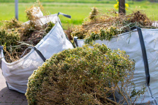 Best Yard Waste Removal  in Orlinda, TN